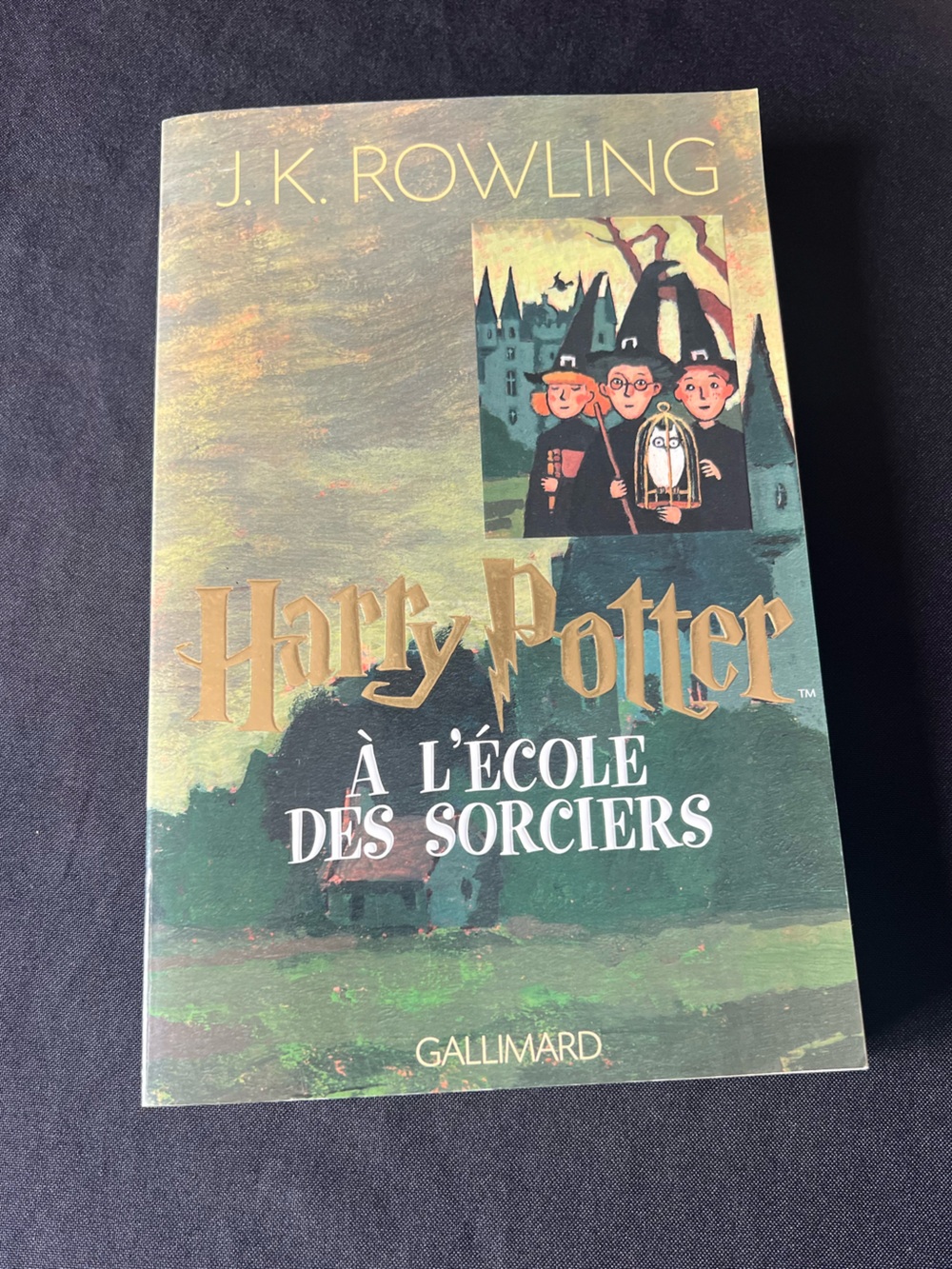 French Harry Potter à l’école des sorciers Gallimard Paperback